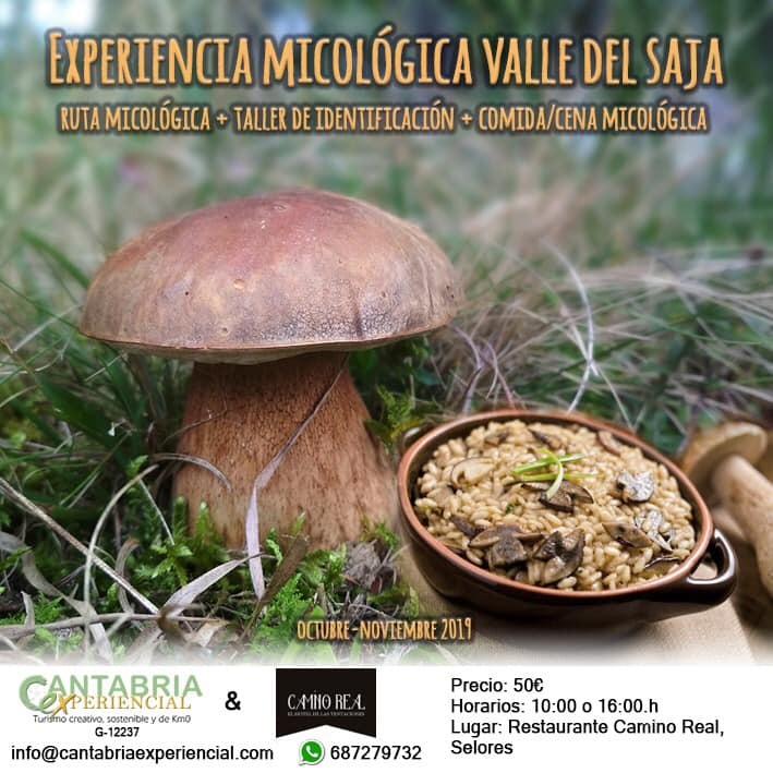 EXPERIENCIA MICOLOGICA CON RUTA, TALLER DE RECONOMIENTO, COMIDA CON MENU MICOLÓGICO, HABITACIÓN Y DESAYUNO BUFFET