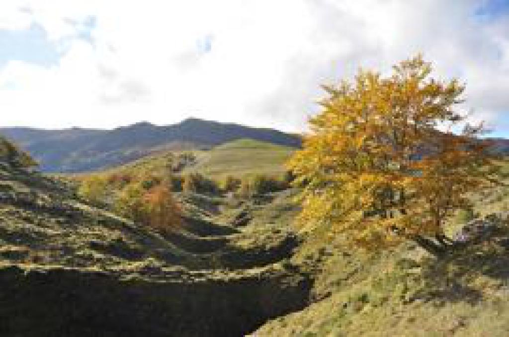 Le Parc Naturel Régional du PIBESTE-AOULHET