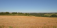 campagne campagne