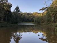 Private lake Private lake