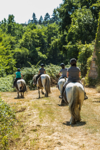 Balade à cheval Balade à cheval