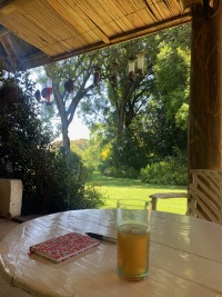 Drink on Verandha Drink on Verandha