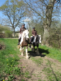 Balade à cheval Balade à cheval