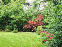 jardin vue forêt jardin vue forêt