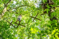 Parcours acrobatiques dans les arbres Parcours acrobatiques dans les arbres