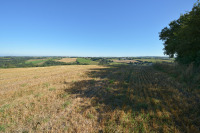 campagne campagne