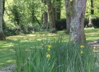 Parc Parc