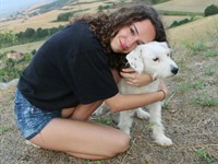 Pet/Mascotas
