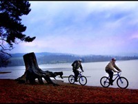 Mountain Bike Hire and Adventure Experiences