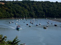 Get on the river!