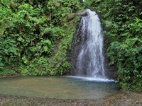 Excursion de la Côte Nord-Caraïbe / North Carribbean Coast Excursion