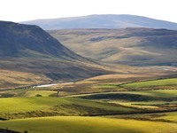Teesdale