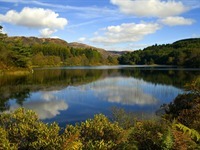 Galloway Forest Park