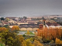 BODEGAS