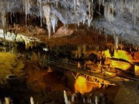 Cueva de El Soplao