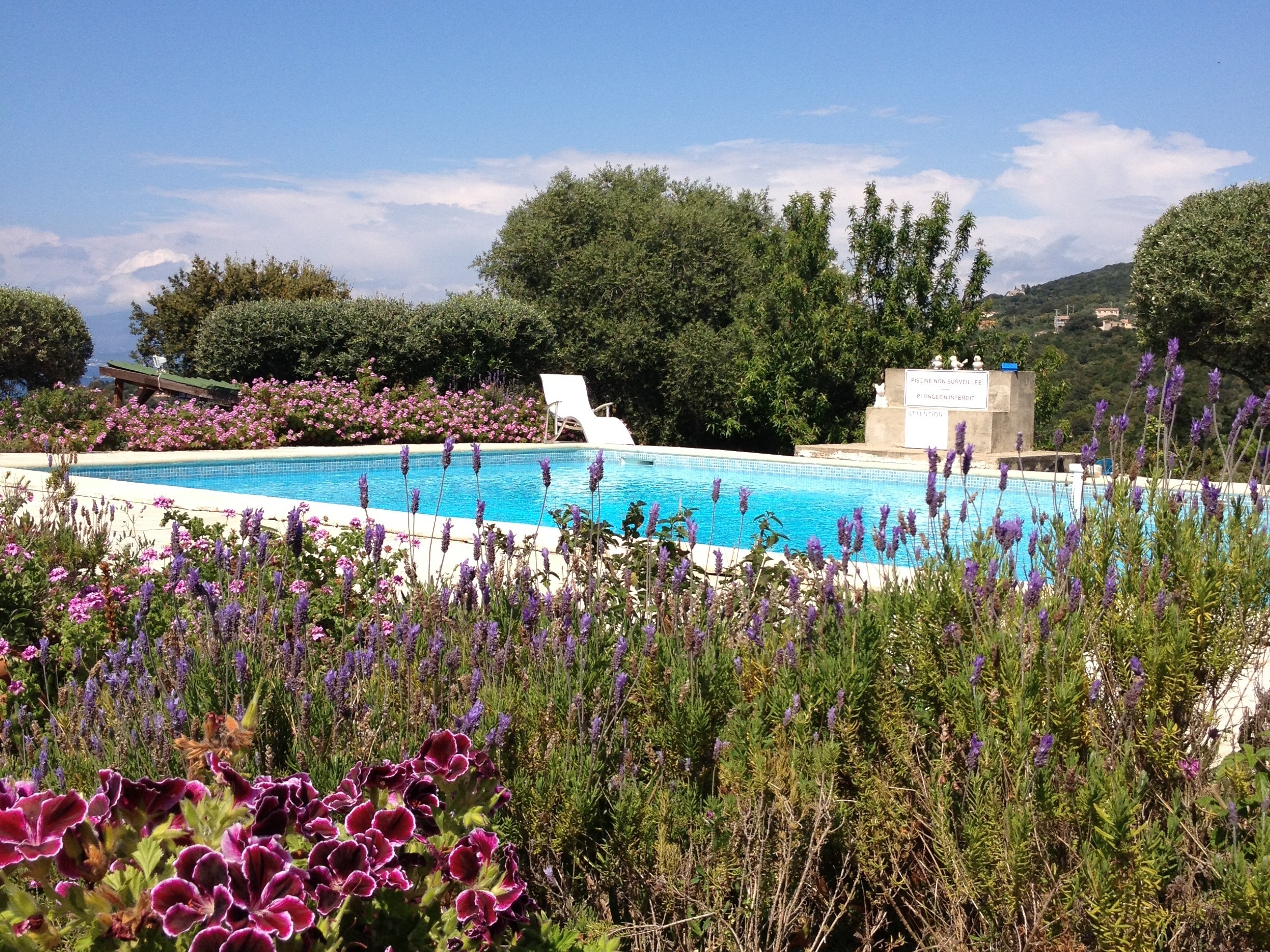 Piscine Piscine