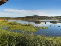 Leighton Moss