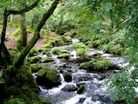 Dolgoch Falls