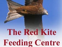 The Red Kite Feeding Centre