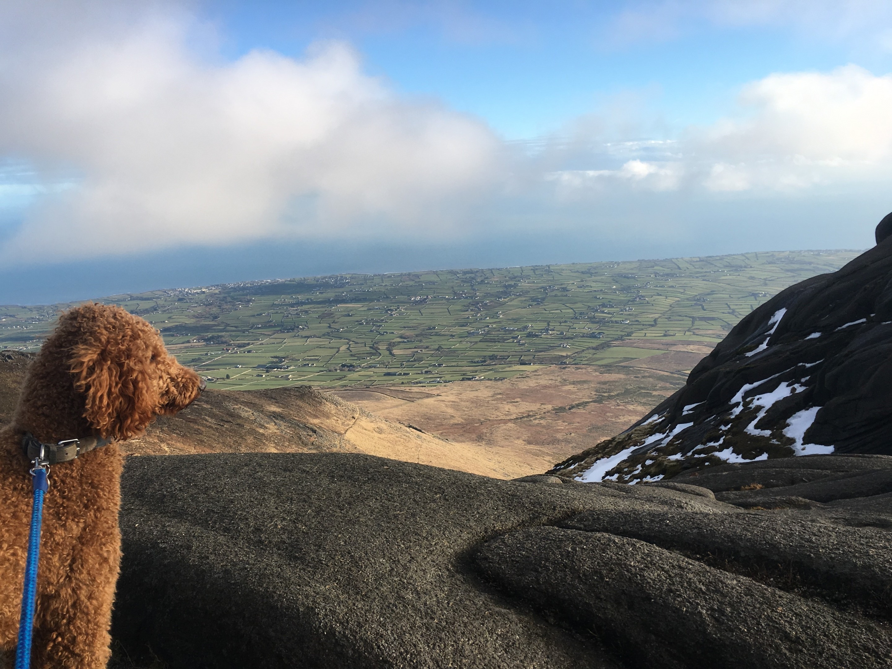 Hugo on Slieve Binnian summit! Hugo on Slieve Binnian summit!