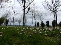 9/11 Garden of Remembrance