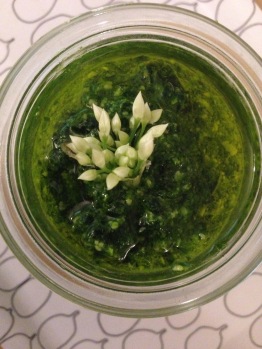 Food & Drink - Locally Foraged Wild Garlic Pesto