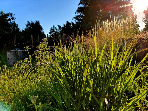 Entspannen auf der Terasse und im Naturgarten