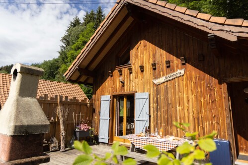 Chalet Anémone, gîte indépendant dans la Vallée de Munster en Alsace