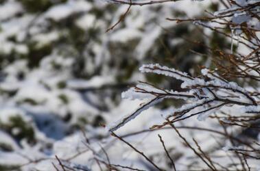 Inverno