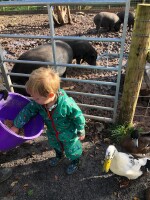 Book onto our animal tour