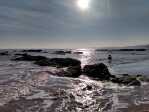 Dog friendly Holcombe Beach