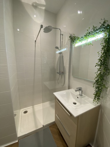 grande douche à l'italienne et vasque