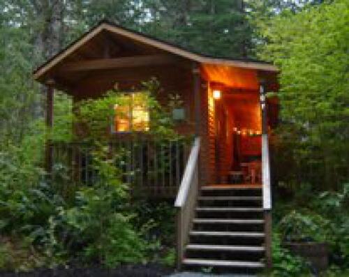 Mountain Lily Cabin