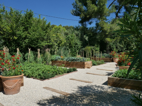 Le potager 