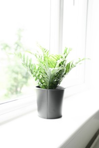 Ornaments