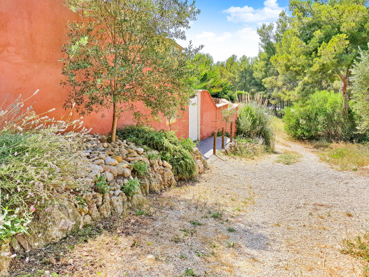 Notre entrée ouverte pleine nature