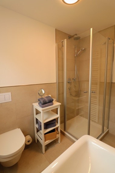 Badezimmer mit Dusche und WC