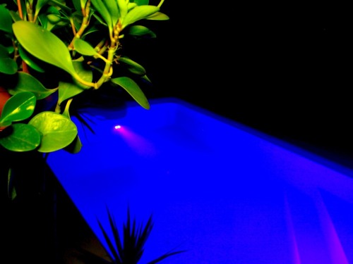 Piscine de nuit