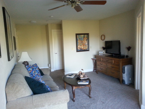  Living room of the Suite. NO PETS IN THIS ROOM.Pullout couch(queen size bed).