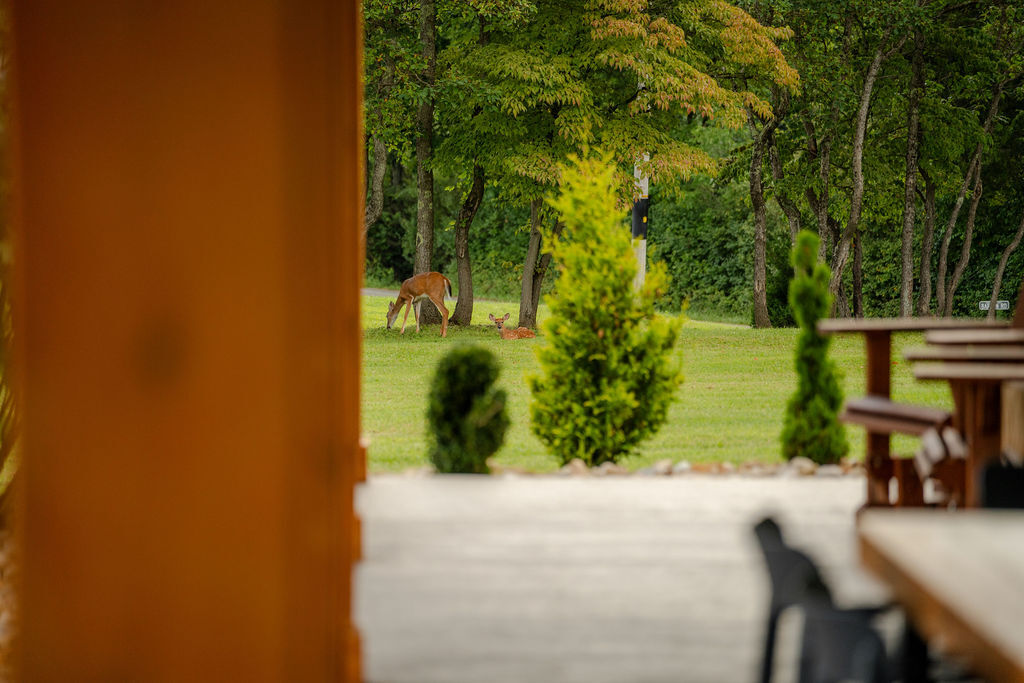 The Farmhouse on Barton | Photo 66