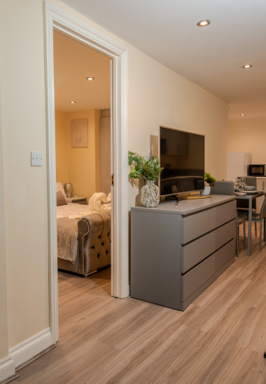 Entrance into the apartment 