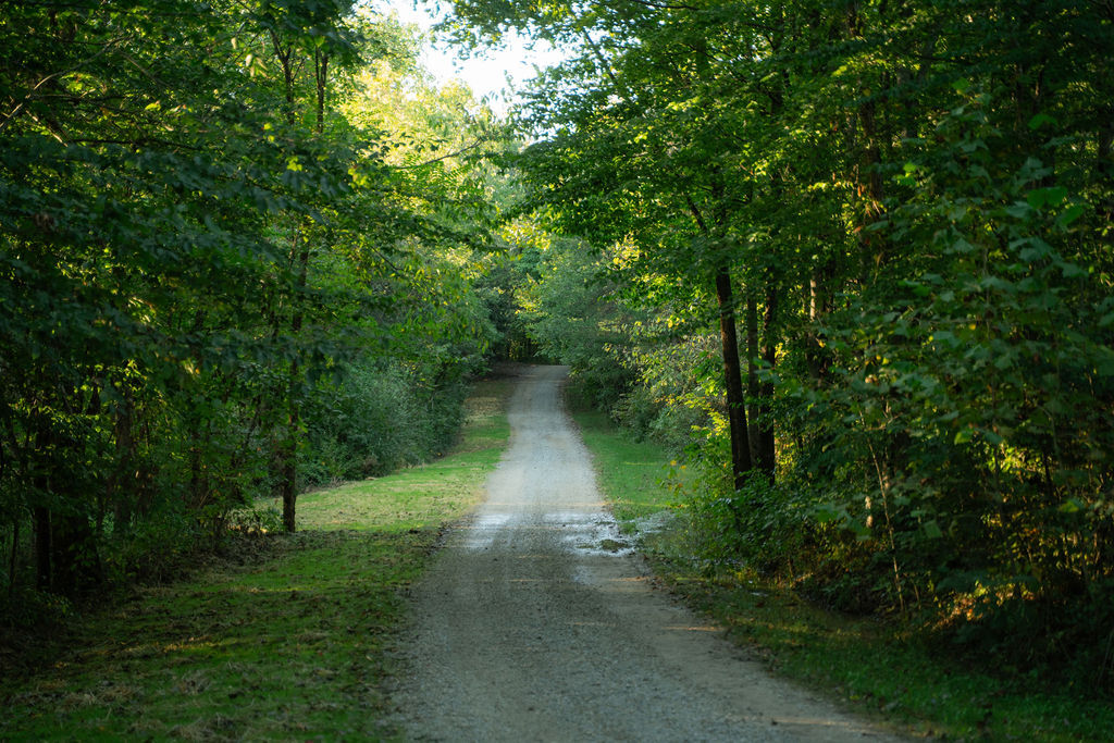Bobcat Corner | Photo 49