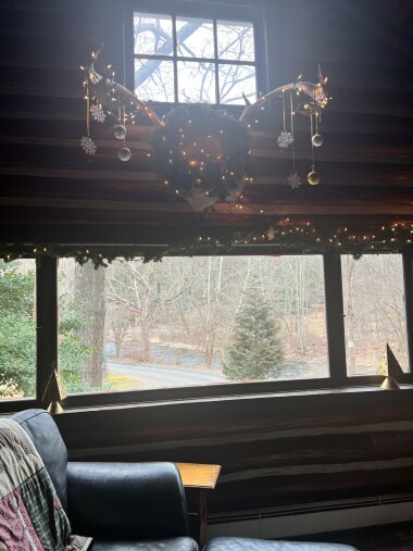 View from large living room window overlooking the creek