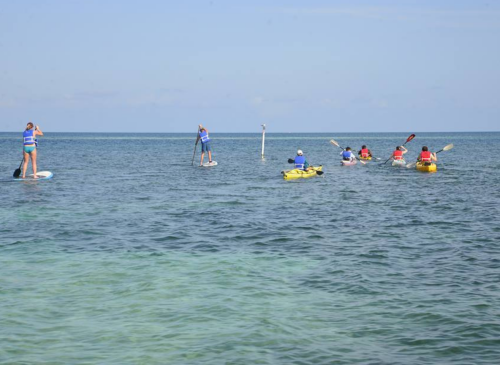 kayaking- paddling