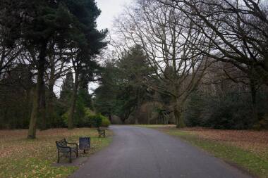 Ormeau Park- 2Mins Walk 