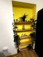Shelf Display