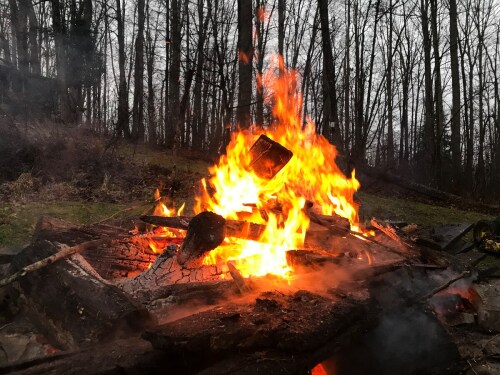 Back yard fire pit