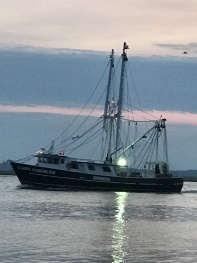 One of many Fishing boats