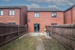Back Garden