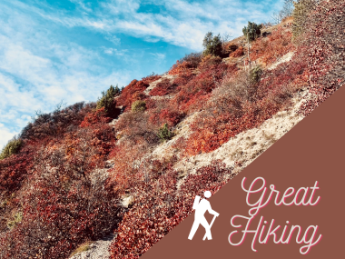 Um Jena gibt es tolle Wanderwege zu entdecken